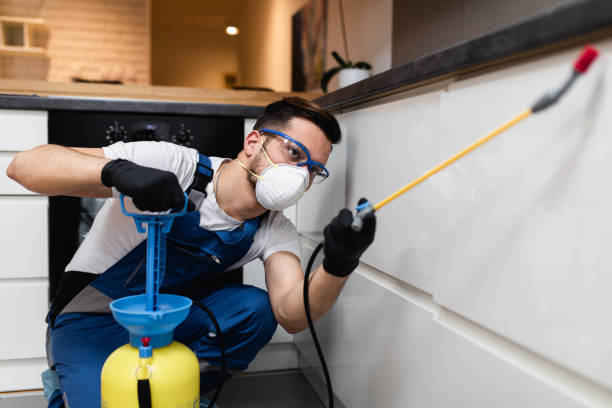 Best Mosquito Control Services  in Dickinson, TX