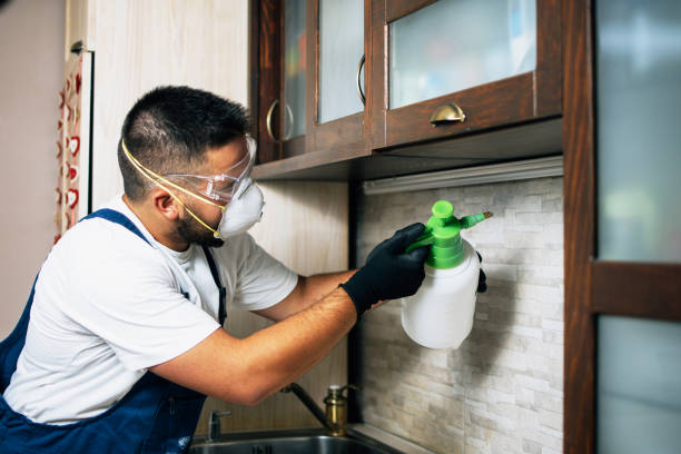 Best Pest Prevention Services  in Dickinson, TX