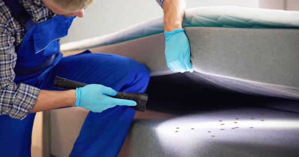 Best Bed Bug Extermination  in Dickinson, TX
