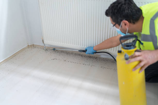 Best Emergency Pest Control  in Dickinson, TX