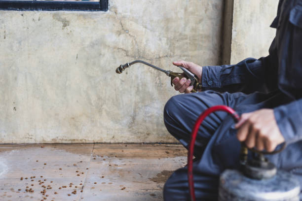 Best Affordable Exterminators  in Dickinson, TX
